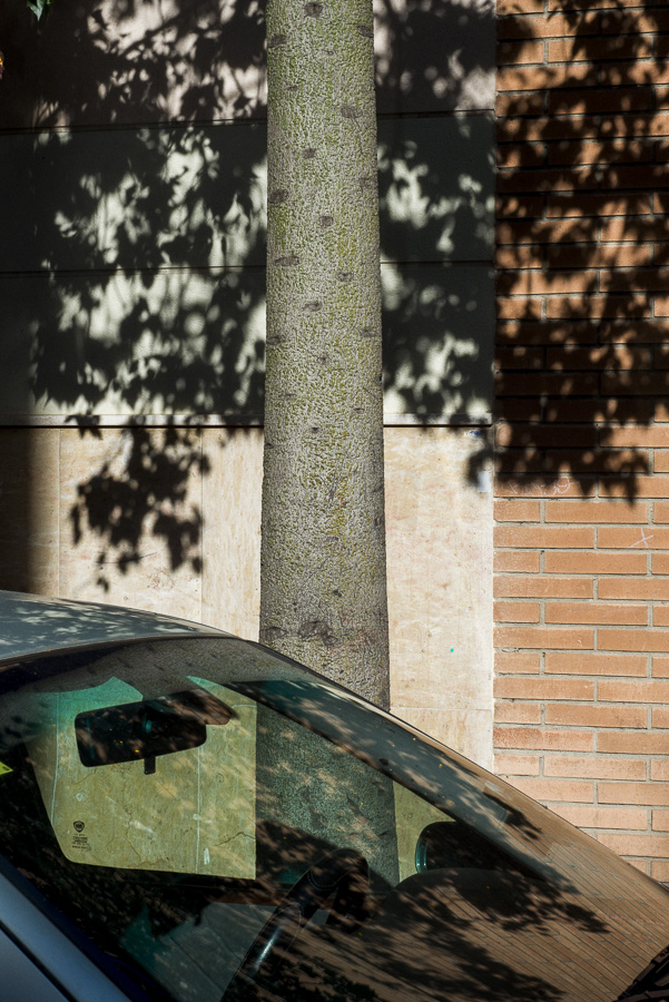 Tree shadow and car. Barcelona
